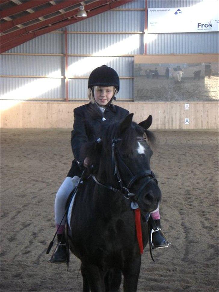 Anden særlig race Bobo SOLGT billede 14