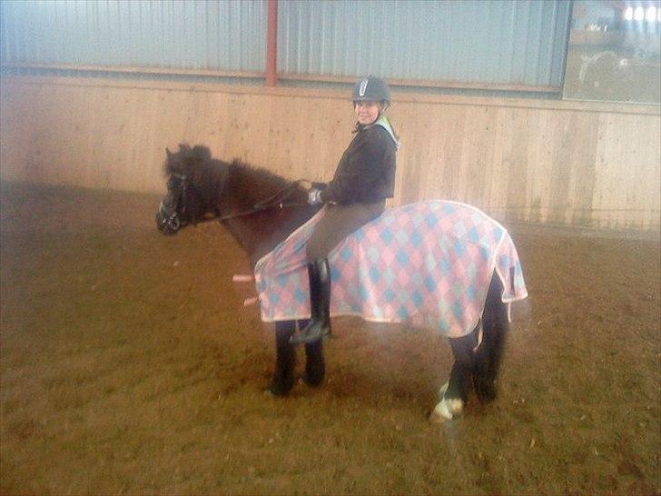 Anden særlig race Bobo SOLGT billede 18