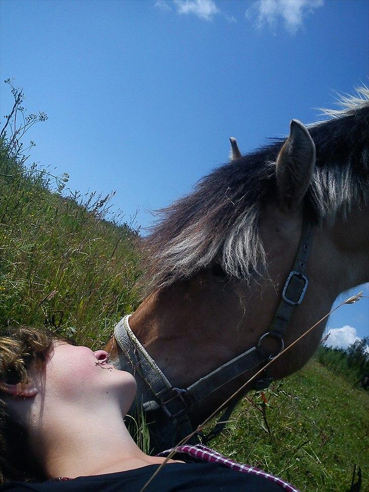 Fjordhest Joakim - joakim på sommer folen ja og jeg lækker og kig på min helt vlid dalige hest joakim hi hi elsker dig  billede 4