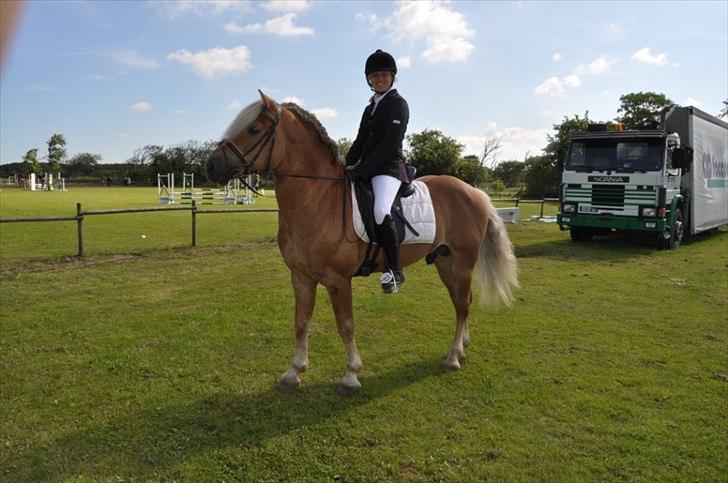 Haflinger Almbue D - Almbue og miig :)<33 billede 14