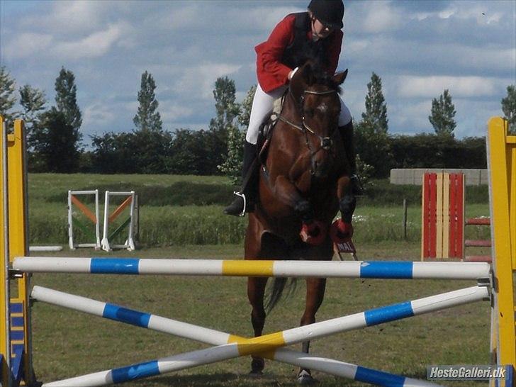 Hannoveraner santana - Henriette og Santana sommer 2011 billede 12