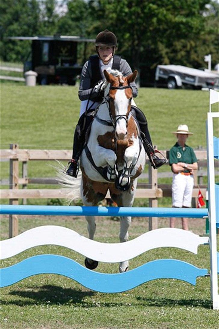 Anden særlig race Søborggårds Emphire billede 1