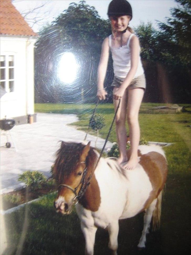 Shetlænder Bertram - UNDSKYLD KVALITETEN.

Gammelt billede af os sammen <3. billede 17