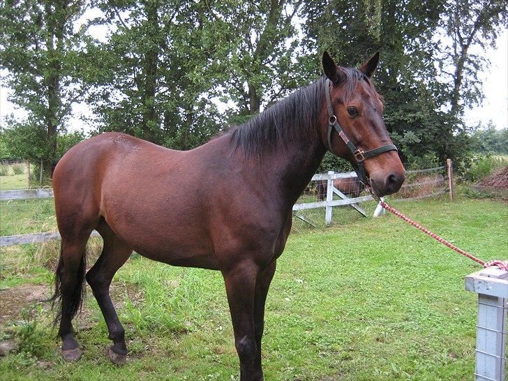 Traver Kentucky Place billede 10