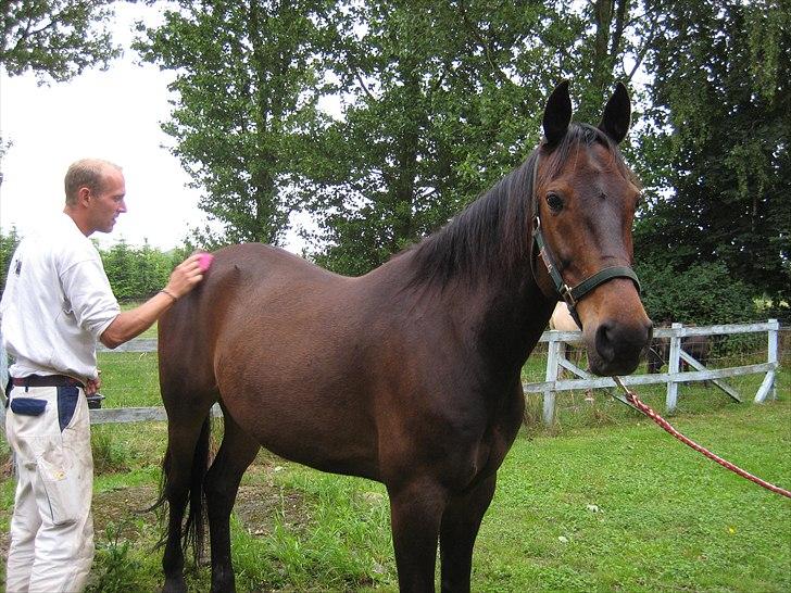 Traver Kentucky Place billede 12