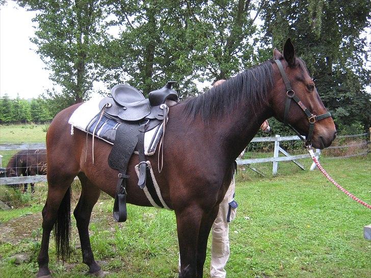 Traver Kentucky Place billede 13