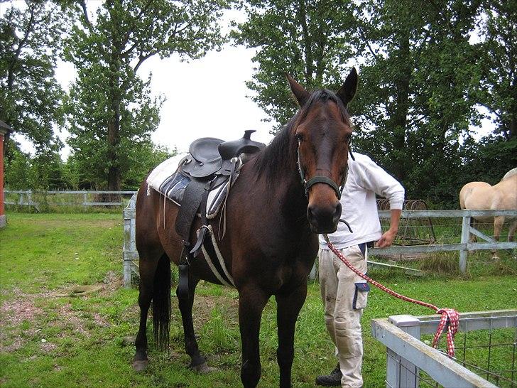 Traver Kentucky Place billede 14