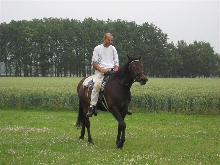 Traver Kentucky Place billede 15