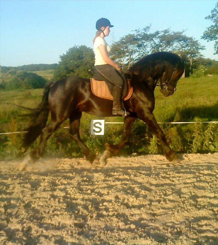 Frieser Gorba / R.I.P - 3 mdr efter tilridning billede 9