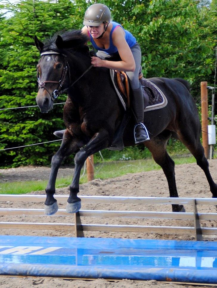 DSP Samara Spring pony - Sommer 2011. billede 18