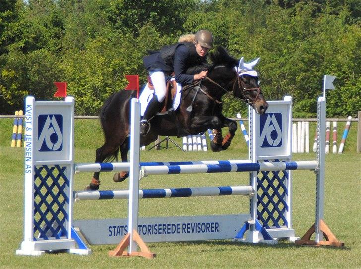 DSP Samara Spring pony - C-stævne i Billund 2011. billede 15