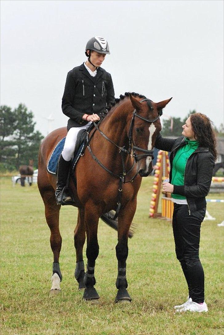 Dansk Varmblod Lillestaruphøjs Ascari - LA2* Guldager 2011 billede 9