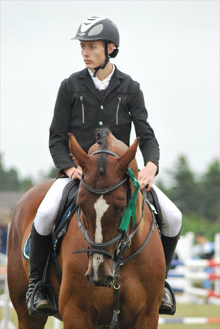 Dansk Varmblod Lillestaruphøjs Ascari - LA2* Guldager 2011 billede 8