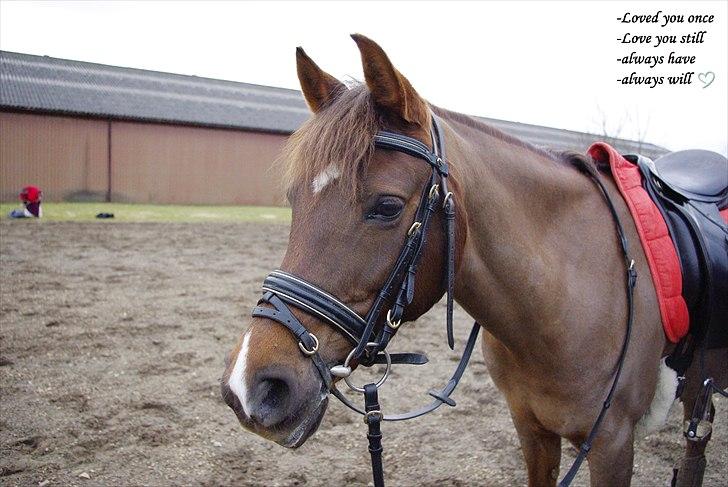 Anden særlig race  Escape  billede 1