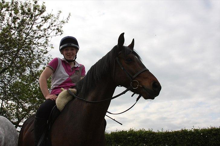 Connemara Loftsome Equinox - ude på tur når jeg mødet en ven billede 5