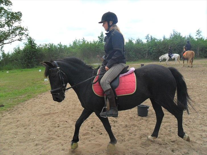 Anden særlig race Dina * Solgt * - Dina og Helene:) billede 11