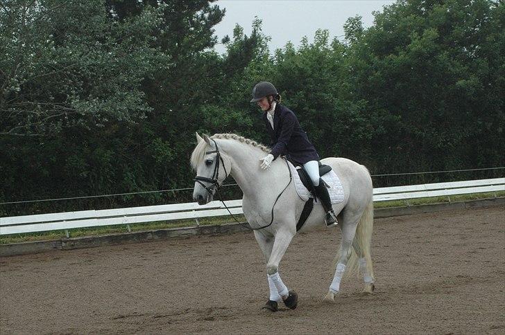 Connemara Nygaards Pirre billede 18