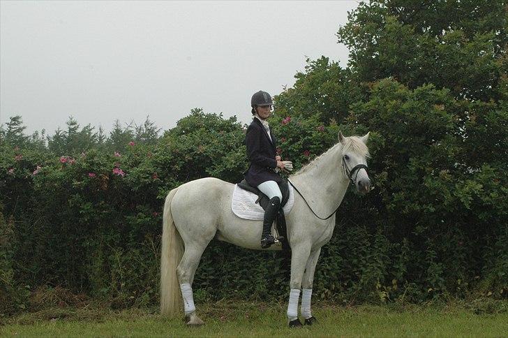 Connemara Nygaards Pirre billede 19