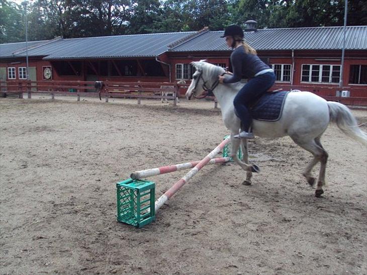 {{currentPhoto.altText}} billede {{currentPhoto.number}}