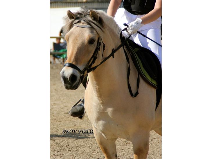 {{currentPhoto.altText}} billede {{currentPhoto.number}}