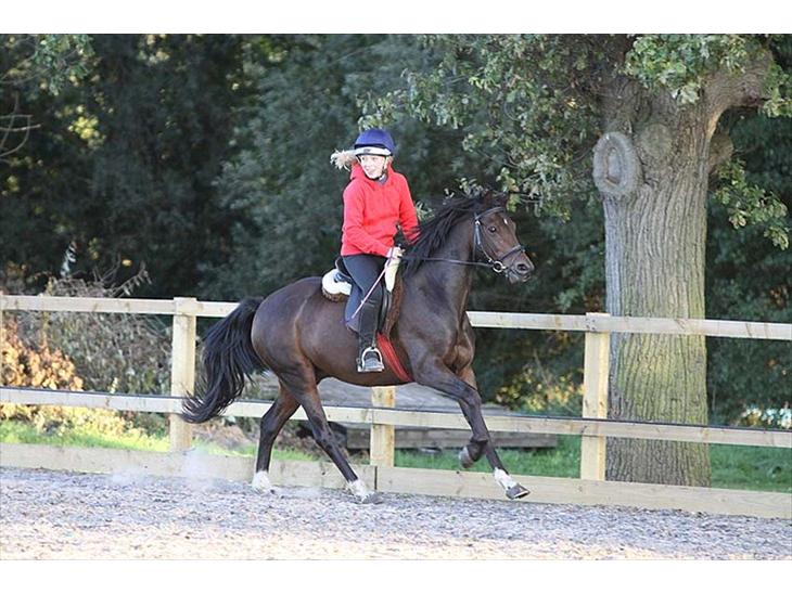 {{currentPhoto.altText}} billede {{currentPhoto.number}}