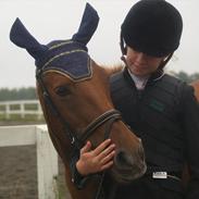 Anden særlig race Scottie