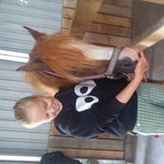 Anden særlig race Patricia