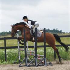 Anden særlig race Magic Boy