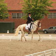 Anden særlig race Søborggårds Emphire