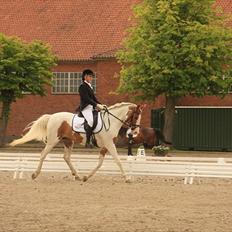 Anden særlig race Søborggårds Emphire