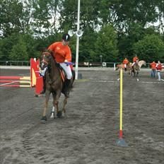 Anden særlig race Carisma