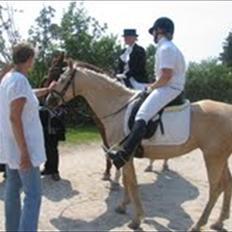 Tysk Sportspony Lolita A-pony*