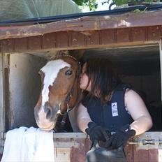 Anden særlig race Angel [tidl. part]