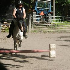 Anden særlig race Angel [tidl. part]