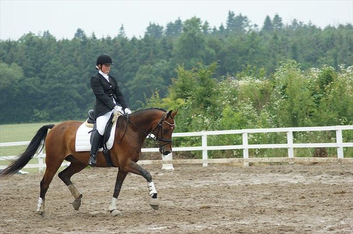 Dansk Varmblod Leuth Of Atlantic - Stævne i NFRK Juli 2011 :)   foto: Anja tærsker :) billede 15
