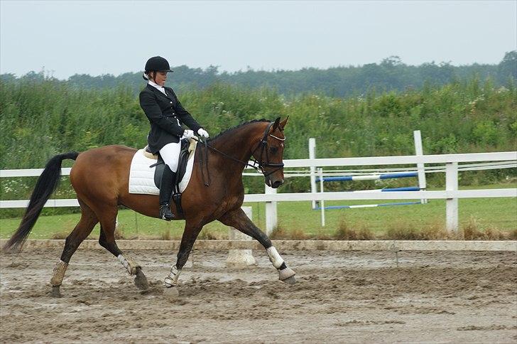 Dansk Varmblod Leuth Of Atlantic - Stævne i NFRK  Juli 2011 :) vinder af lb3 med 67,7% og nr.2 i lb2 med 68,5% :D foto: Anja tærsker :) billede 16
