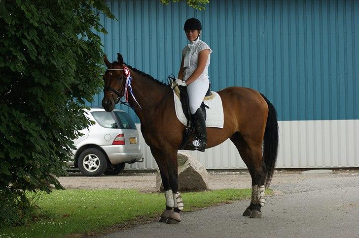 Dansk Varmblod Leuth Of Atlantic - Stævne i NFRK  Juli 2011 :) vinder af lb3 med 67,7% og nr.2 i lb2 med 68,5% :D foto: Anja tærsker :) billede 3