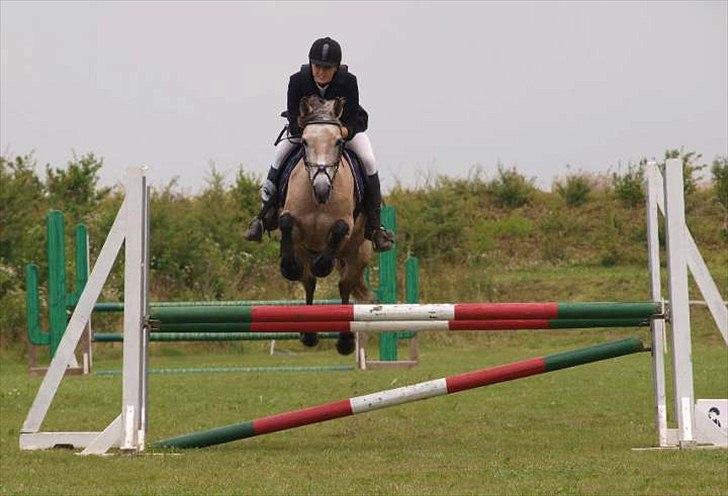 Anden særlig race Remember Me (Solgt) - LA** billede 15