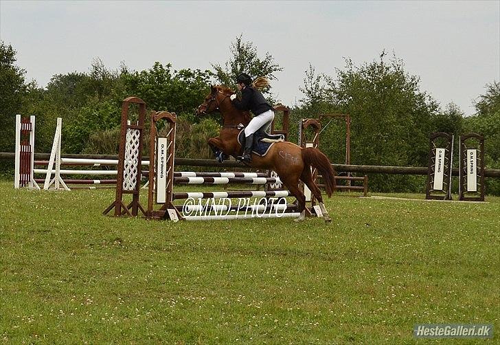 Anden særlig race Mix <3  - lb :D <33 billede 6
