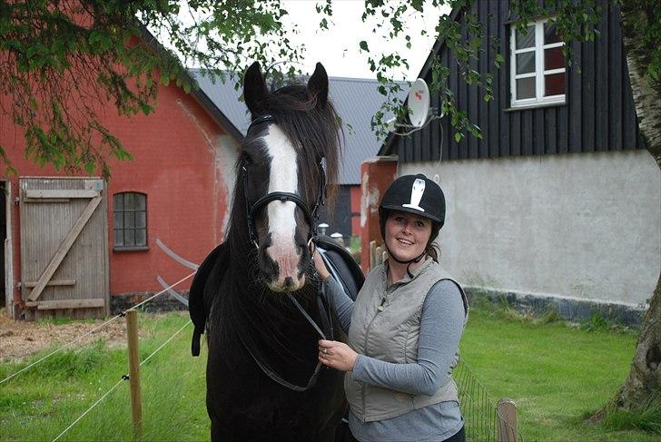 Irish Cob Romanys Ryan - Så er vi klar til tur.. billede 3