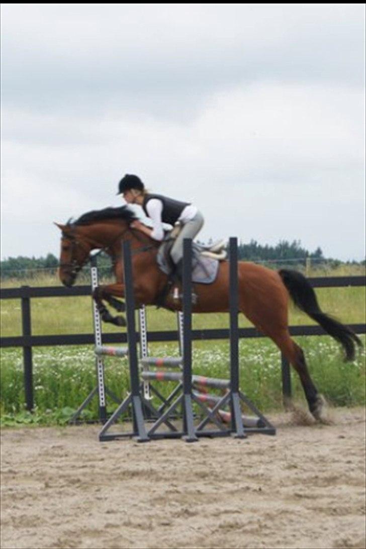 Anden særlig race Magic Boy - Mig og Magic, spring træning :-D billede 1