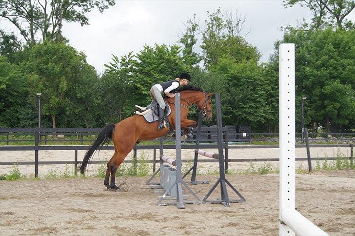 Anden særlig race Magic Boy - Fine Magic :') billede 4