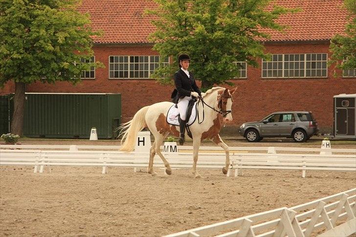 Anden særlig race Søborggårds Emphire billede 2