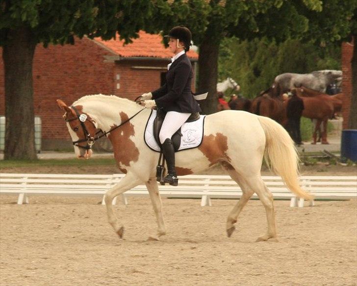 Anden særlig race Søborggårds Emphire billede 4