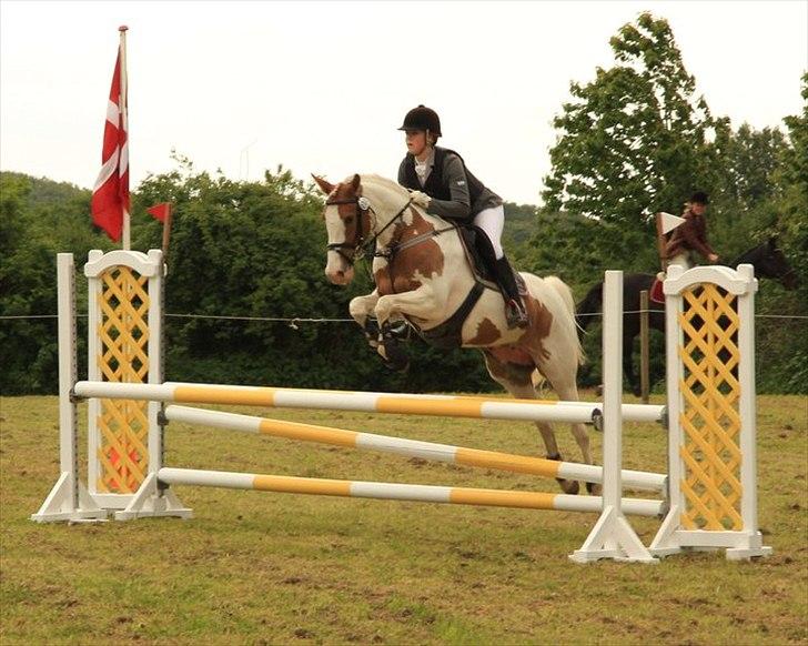 Anden særlig race Søborggårds Emphire billede 5