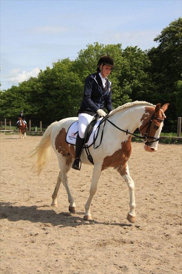 Anden særlig race Søborggårds Emphire billede 6