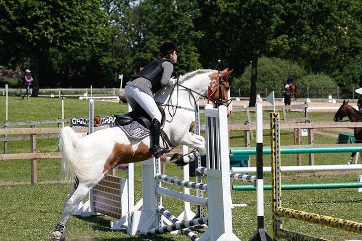 Anden særlig race Søborggårds Emphire billede 11