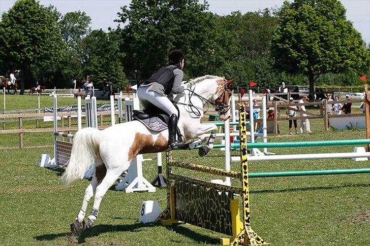 Anden særlig race Søborggårds Emphire billede 12