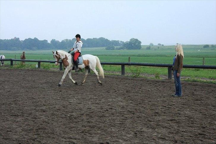Anden særlig race Søborggårds Emphire billede 16
