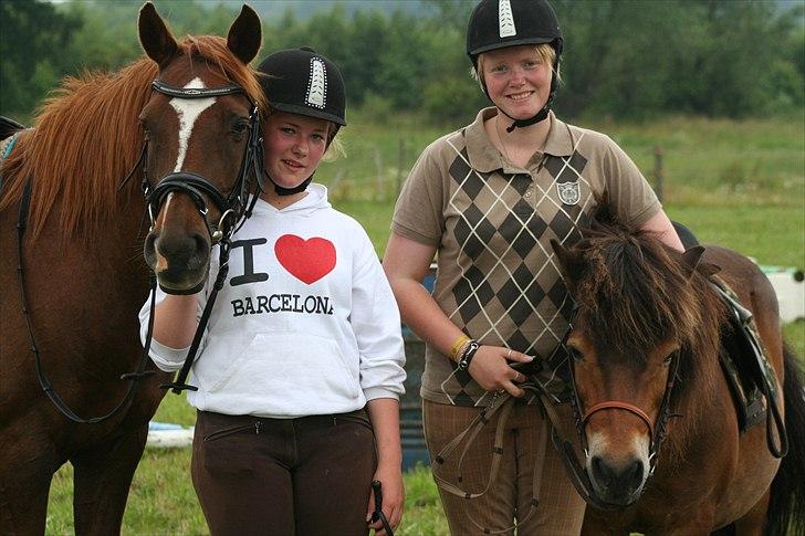Anden særlig race Flintstone (Flinte) - Nugge og Flinte (:<3 billede 12